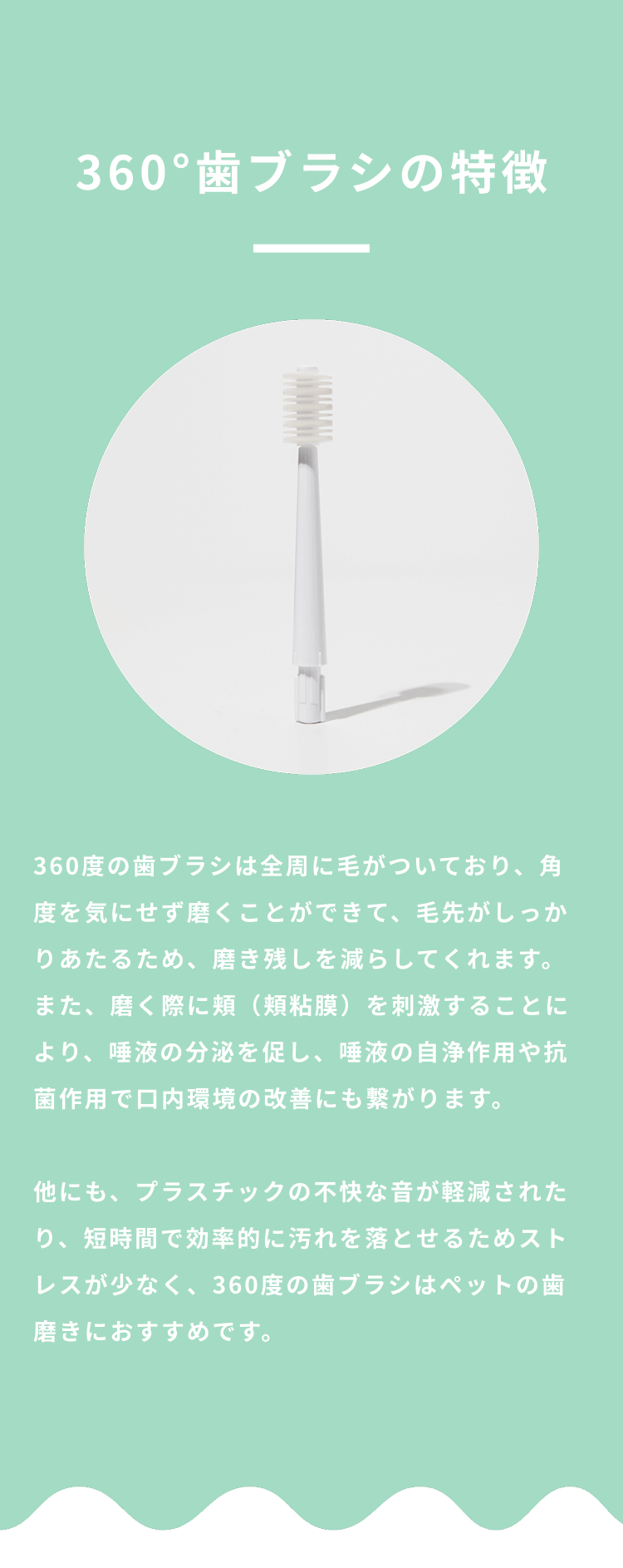 360°歯ブラシの特徴