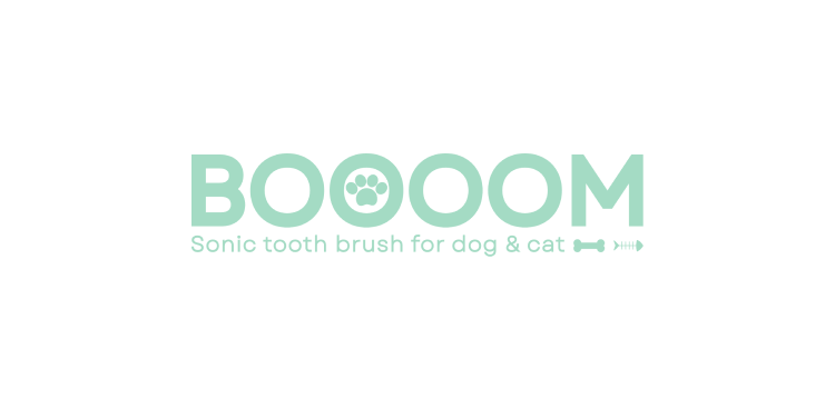 BOOOOM Logo